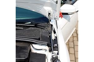 HIGH FLYING para Focus MK3 2012-2017 Amortiguadores de Gas para Capó Acero Inoxidable 2 Piezas (No para Focus ST, RS)