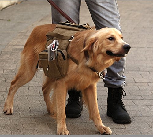 On-the-Trek-Backpack-for-Dogs-Large-Extra-Large