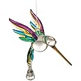 Wild Things Gifts Fantasy Glass Hummingbird Rainbow New 5050-HUM-RAI
