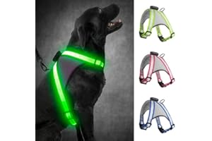 Visinite LED Dog harness, USB Rechargeable Light Up Dog Harness Vest, 2 Illuminate Modes Glow in The Dark Dog Harness, Adjustable Lighted Dog Harness Light for Night Walking Safety