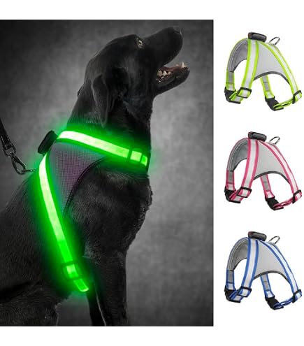 Autolock Brustgurt Hundegeschirr Leuchtend Aufladba Produktbild-Vorschau 4