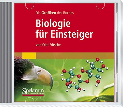 Grafiken Test Vergleich 2018 Die Besten Grafiken - 