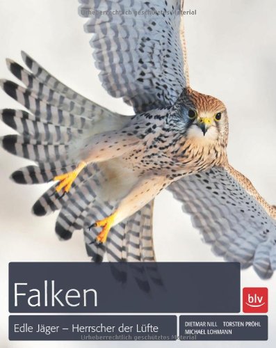 Preisvergleich Produktbild Falken: Edle Jäger - Herrscher der Lüfte