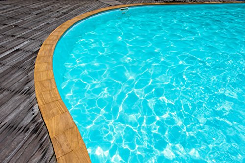 10L SCHWIMMBADFARBE – FARBAUSWAHL – POOLFARBE SCHWIMMBECKENFARBE FISCHBECKEN POOL SCHWIMMBAD SCHWIMMBECKEN BESCHICHTUNG FARBE WOLFGRUBEN WERKE (WO-WE) SL400 | Lichtblau ähnl. RAL 5012 – 10 Liter - 2