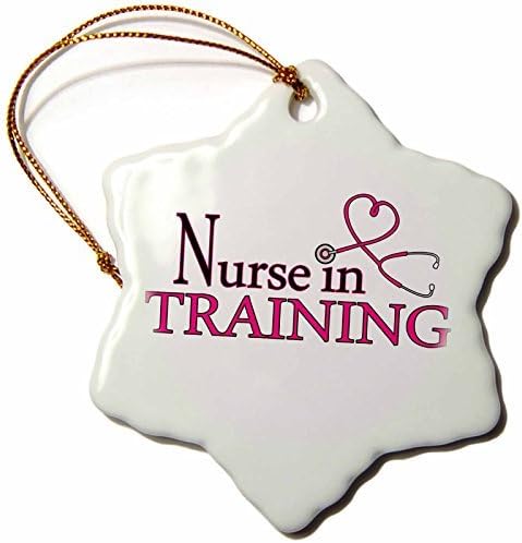 cwb2jcwb2jcwb2j 3-Inch Porcelain Snowflake Decorative Hanging Ornament, Nurse In Training Blue Heart Stethoscope