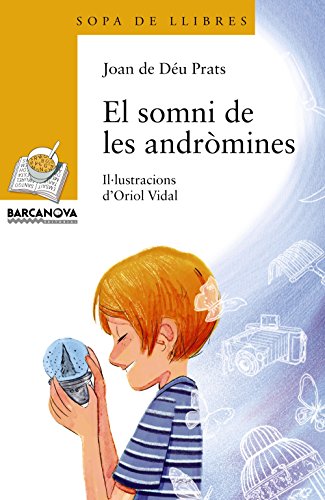 El somni de les andròmines (Llibres infantils i juvenilsSopa de llibres Sèrie groga)