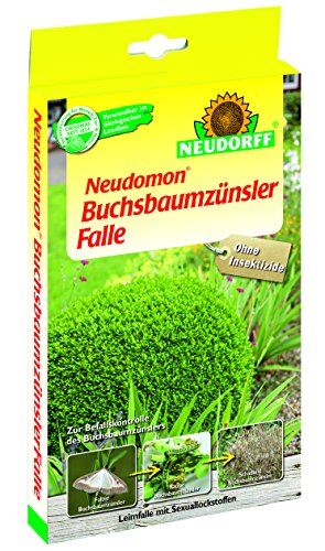 NEUDORFF Neudomon BuchsbaumzünslerFalle 1 Set