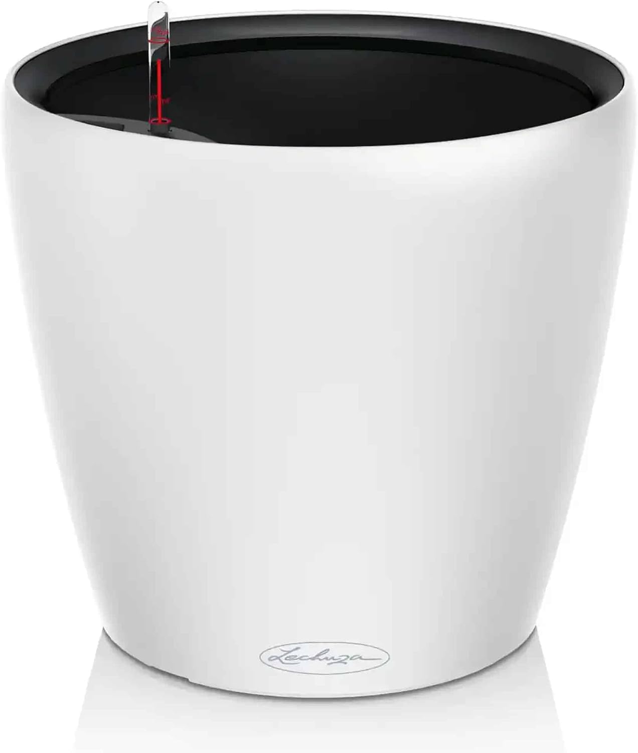 Vue 11