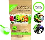 Cultivar tomates y pimientos saludables.Ambas plantas consumen gran cantidad de magnesio mientras crecen, por lo que la adición de sal de Epsom - que se absorbe fácilmente en la planta - ofrece a los jardineros una fuente barata de magnesio para sus cultivos. La sal de Epsom ayuda de otras maneras: Las plantas se hacen más fuertes, producen más fruta, tienen menos podredumbre de flor, un color más profundo y verduras más sabrosas.