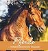 Pferde 2019 - Horses - Postkartenkalender (15 x 16) - aufstellbar by 