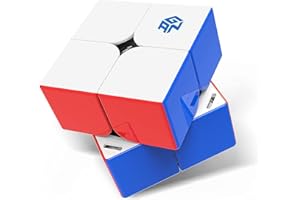 GAN 251M Leap Zauberwürfel 2x2 Magnetischer Speedcube stickerlos 251 Mini Cube 63 Magnete Puzzle Spielzeug für Anfänger:innen (Matte Frosted-Oberfläche weißes Innenleben)