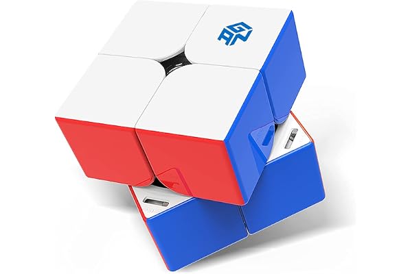 GAN 251MPro-Leap Speed Cube Magnétique 2x2, Mini Cube de Vitesse sans Autocollant, Jeu de Casse-Tête avec 56 Aimants/Axe Magnétique/GESv3/GMSv3/4 Niveaux Elastiques Remplaçables, Cadeau Enfant Adulte