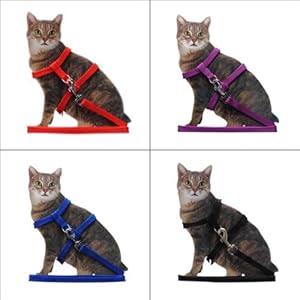 NiceButy Laisse collar + arnés ajustable anti-traction en Nylon Collar reflectante con anillo aleación para gato gatito Longitud 1.2 M Rojo