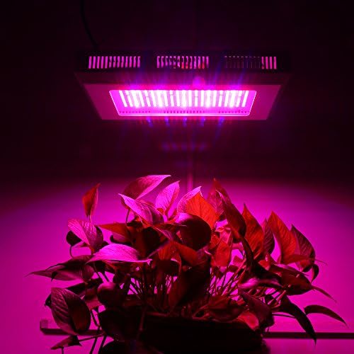 Derlight 300W Full Spectrum Led Grow Light For Vegetable Flower Budding Horticulture,183pcs Red &amp; 40pcs Blue Mixed with UV&amp;IR, Indoor Greenhouse Botanic Garden Hydroponic Grow Lamp AC 85-265V (300W)