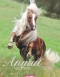 Die Anmut der Pferde 2014: mit Zitaten by 