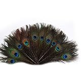 La cola de pavo real reconoce la popularidad popular para sus colores especiales y motivos especiales. La cola de pavo es también appréciée para su buena flexibilidad y su chromaticité opcional.