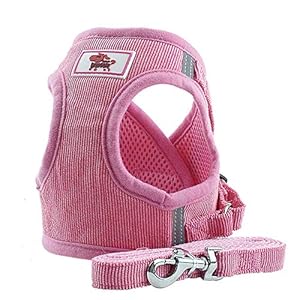 PET SPPTIES Tela de Malla Chaleco para Perros Arnés Suave Ajustable cómodo para Cachorros, Perros Pequeños y Gatos PS042 (XS, Pink)