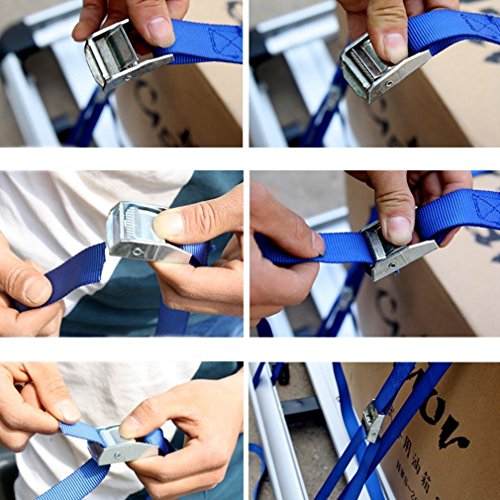 10 Stück 3 meter Spanngurte Zurrgurte extra Breit blau mit Klemmschloss Schnellspannung 250 daN (10) - 4