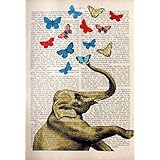 ELEFANT SCHMETTERLINGE 89