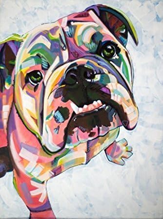 QH Home 15.7”x23.6” Decoration Watercolor Bulldog Funny Bath Mat Rugs Non-Slip Rectangle Floor Entryways Outdoor Indoor Front Door Mat Carpet (6)