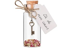 Mister Curiosities Clé de mon cœur dans une fiole en verre, cadeau pour déclaration romantique symbole et preuve d'amour éternel pendentif pour saint valentin ou mariage