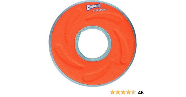 chuck it dog frisbee