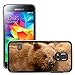 Price comparison product image Just Phone Cover Hot Style Cell Phone PC Hard Case Cover // M00140247 Kodiak Bear Bear Predator Animal // Samsung Galaxy S5 MINI SM-G800