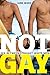 Not Gay: Sex Between Straight White Men (Sexual Cultures) by