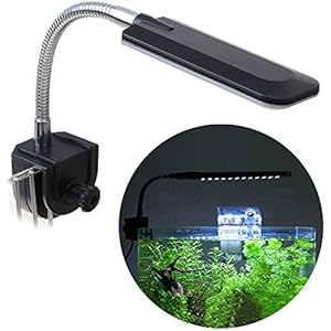 [Gesponsert]GEEDIAR Aquarium Beleuchtung Lampe 24LEDs Aufsetzleuchte 1.5W Blau Weiß Licht