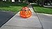Dreambaby Outdoor Play Warning Sign
