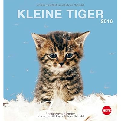 Katzen Postkartenkalender 2016 Katzen Postkartenkalender 2016