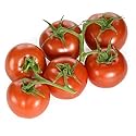 The Tomato Stall Organic Large Vine Tomatoes 425g