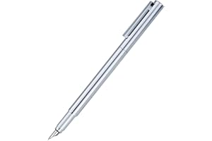 ASVINE Hongdian 516 - Penna stilografica in acciaio INOX con pennino fine, design classico, con convertitore e custodia