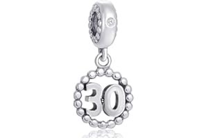 CHAWIN Number Bracelet Charms, 925 Sterling Silver Pendants/Beads Fit Pandora Charm Bracelets, Necklace, European Snake Chain,10/20/30/40/50/60 Dangling Charm for Birthday, Anniversary