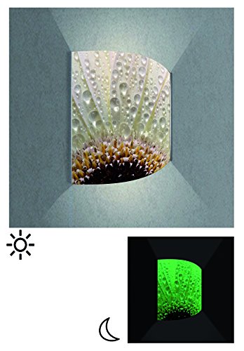 Preisvergleich Produktbild Wandbeleuchtung Startoshop, nachleuchtende Wandlampe, Wandleuchte Frontscheibe Plexiglas, Design Sonnenblume, Wandlampe mit 4W LED Leuchtmittel, 37 cm x 40 cm