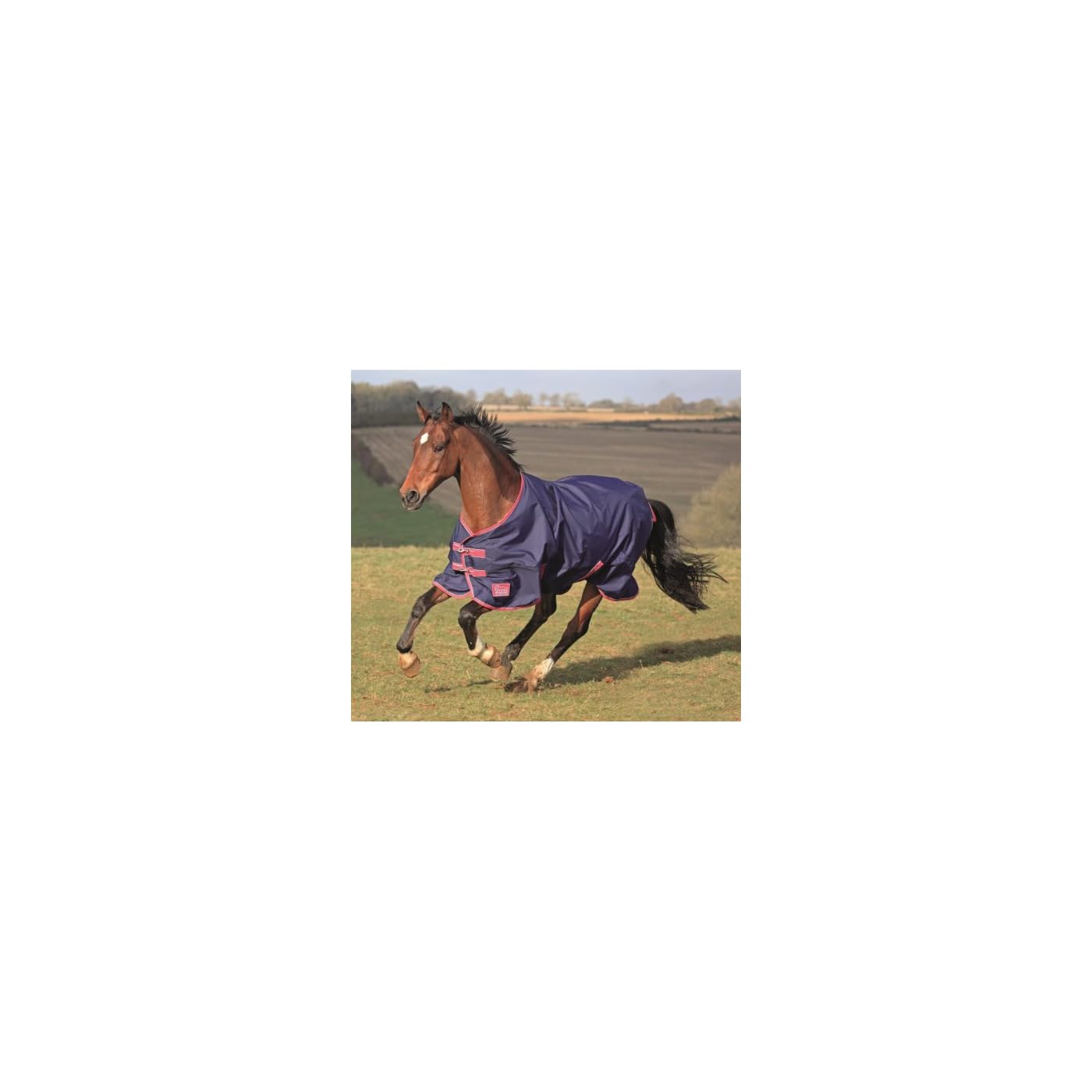 Horse ‘n’ Pony