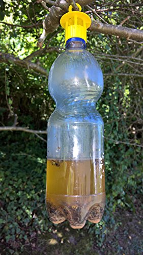 Insektenfalle Wespenfalle Fruchtfliegenfalle Obstfliegenfalle Fliegenfalle 5er Set Flaschenaufsatz - 7