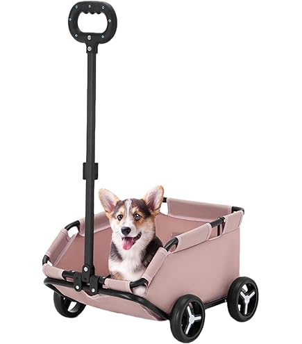 Passeggino Per Cani 3 In 1 Trasformabile - Portatile Per Animali Fino A 20 Kg Con Rete E Portabicchieri