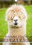 Wuschelköpfe - Alpakas (Wandkalender 2014 DIN A4 hoch): Wollige Kleinkamele im Porträt - Charakterköpfe (Monatskalender, 14 Seiten) by