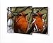 Produktbild Printalio - Redbeard Bird - Lautlose Wanduhr mit Fotodruck auf Leinwand Keilrahmen | geräuschlos kein Ticken Fotouhr Bilderuhr Motivuhr Küchenuhr modern hochwertig Quarz | 30 cm x 30 cm mit schwarzen