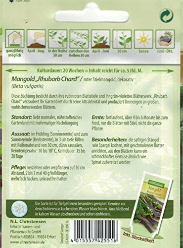Chrestensen Mangold ‚Rhubarb Chard‘ - 2