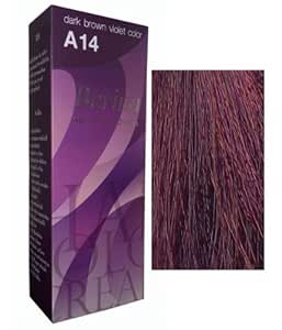 Buy Permanent Hair Colour Dye Berina Dark Brown Violet By Berina