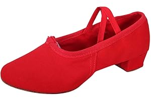 SURTTAN Scarpe da Ballo per Donna Ballo da Sala Ballo Danza Moderna Scarpe Salsa Bachata Tango Feste Performance Sala Pratica da Ballo Standard Tacco Bambina Donna Scarpette da Balletto Pointe