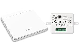 YOUNLEN Interruptor de luz inalámbrico, interruptor de seguridad del transmisor de RF y controlador del receptor 10A, fácil instalación para lámpara de hasta 1500W（1 receptor y 1 interruptor）