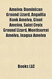 Image de Ameiva
