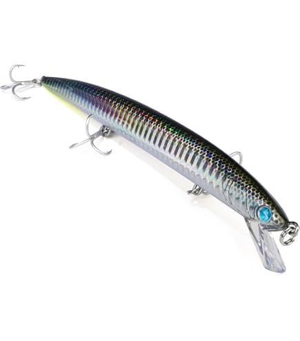 Leurre Seaspin Mommotti 115 SF – Jerk Minnow Flottant 115 Mm / 12 G, Avec Système D.C.G., Armature Traversante, Pour Bar Et Prédateurs