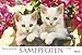 Samtpfoten 2016: PhotoArt Panorama Kalender by