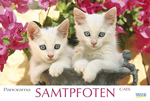 Samtpfoten 2016: PhotoArt Panorama Kalender