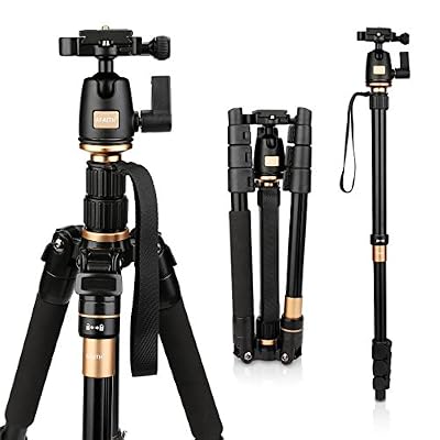 AFAITH professionnel en alliage d'aluminium magnésium portable appareil photo Trépied Monopode et tête à rotule pour Appareil photo reflex numérique Canon Nikon Pentax Sony q-555