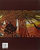 Image de Emozioni visive. Arte italiana tra Stoccolma, Helsinki e Tallinn. Ediz. italiana e inglese